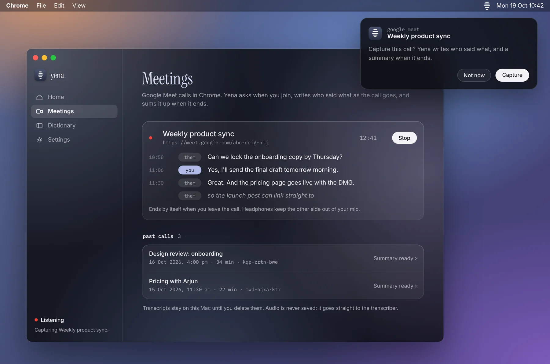 Yena's Meetings window during a Google Meet call: a live transcript with you and them labels, a timer, a Stop button, and past calls with summaries.